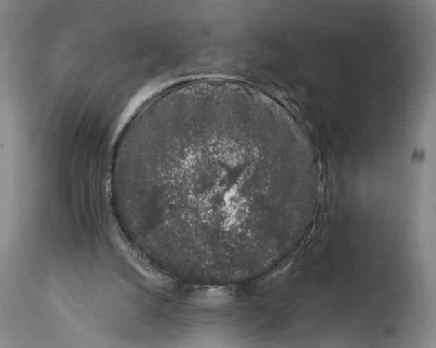 X0000115110056200911171314