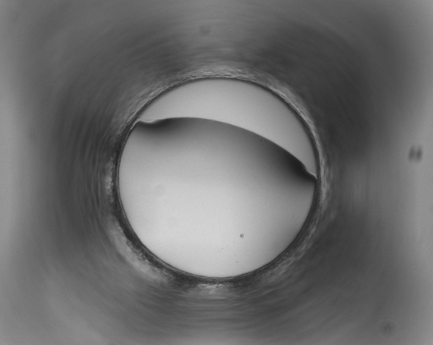 X0000115110057200911171314