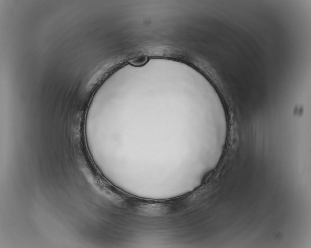 X0000115110058200911171314