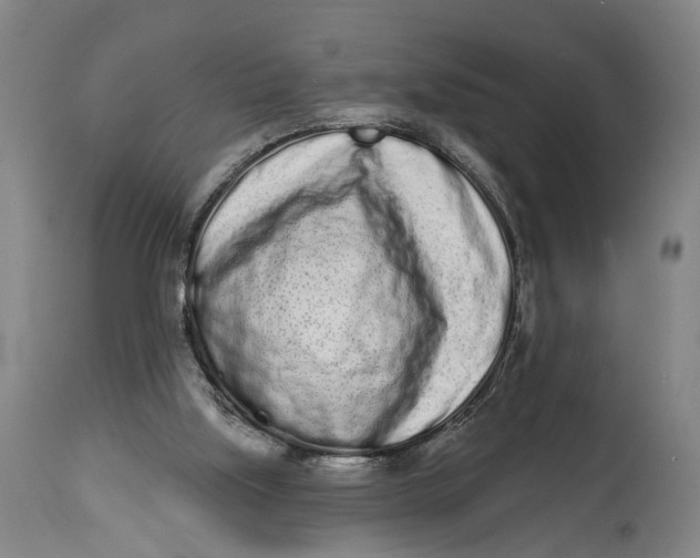 X0000115110059200911171314