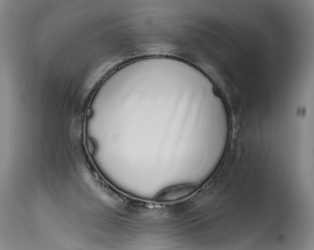 X0000115110060200911171314