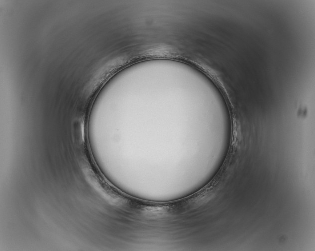 X0000115110061200911171314