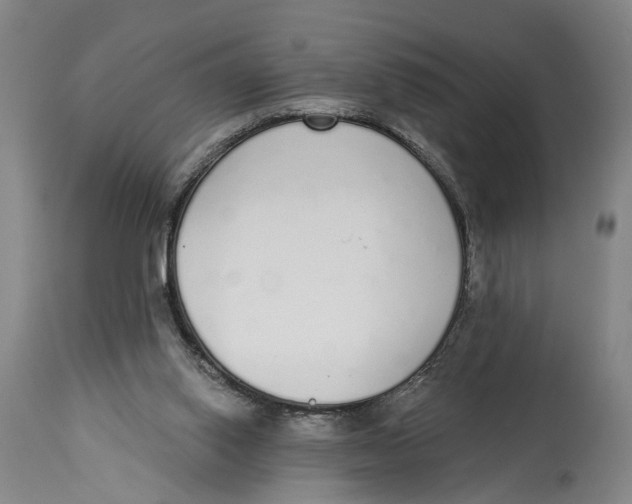 X0000115110062200911171314