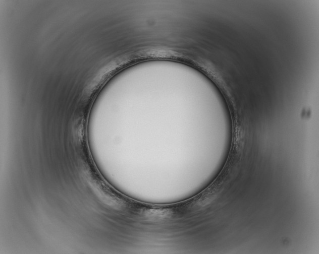 X0000115110063200911171314