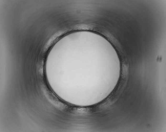 X0000115110064200911171314
