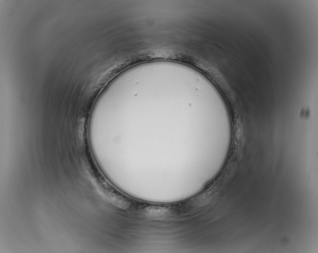 X0000115110066200911171314