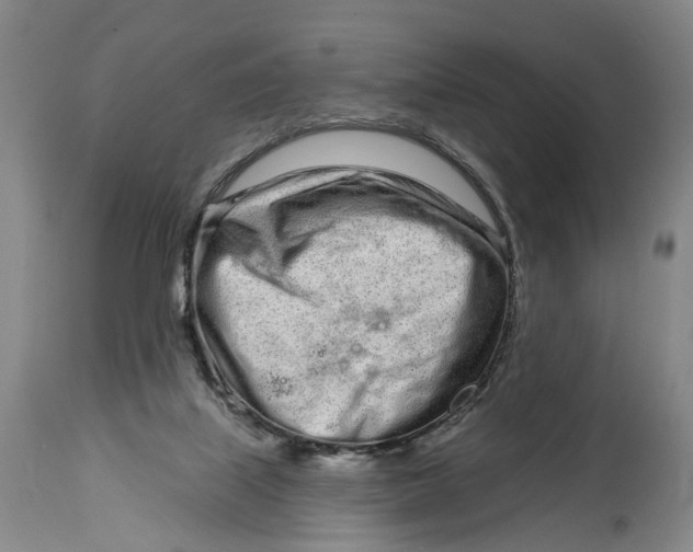 X0000115110067200911171314