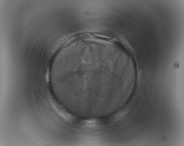 X0000115110068200911171314