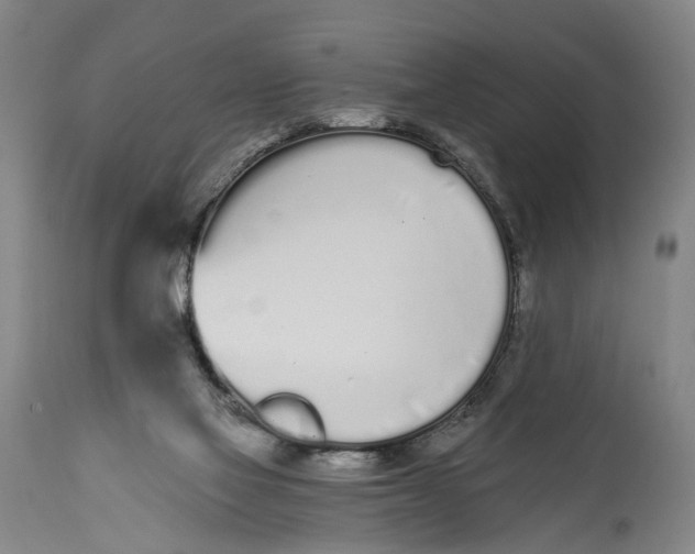 X0000115110069200911171314