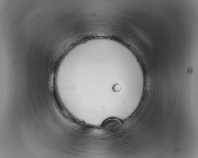 X0000115110070200911171314