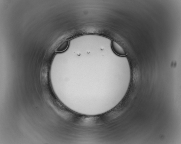 X0000115110072200911171314