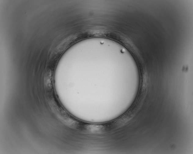 X0000115110073200911171314