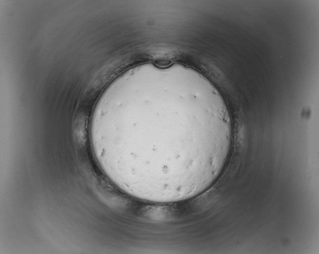 X0000115110074200911171314
