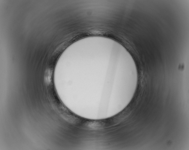 X0000115110075200911171314