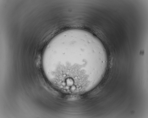 X0000115110077200911171315