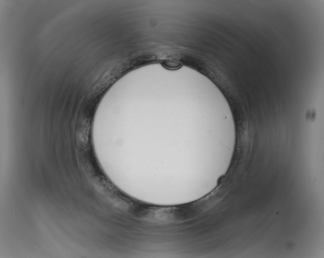 X0000115110078200911171315
