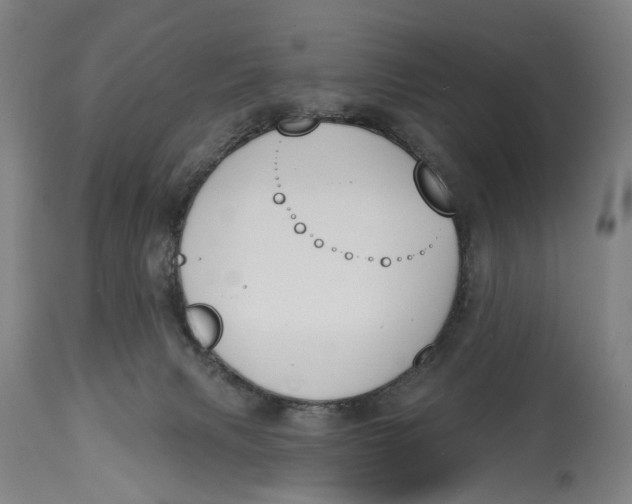 X0000115110079200911171315