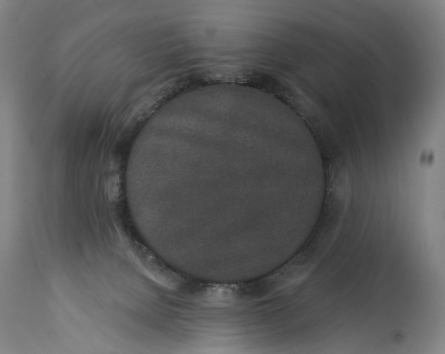 X0000115110080200911171315