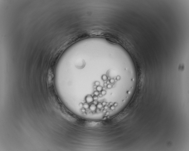 X0000115110081200911171315