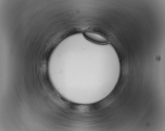 X0000115110085200911171315
