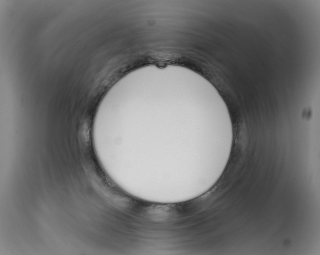 X0000115110086200911171315