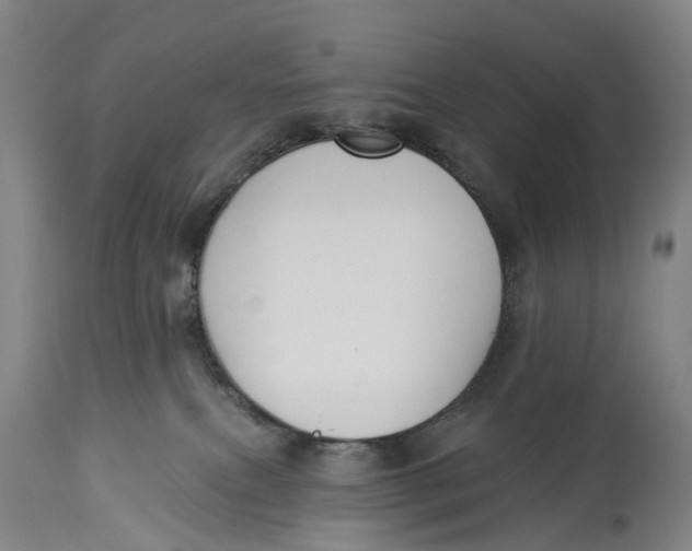 X0000115110087200911171315