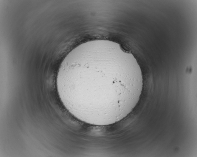 X0000115110088200911171315