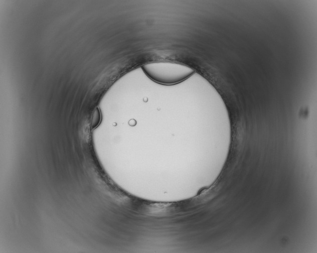 X0000115110090200911171315