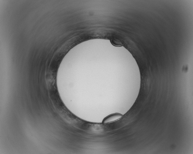 X0000115110091200911171315