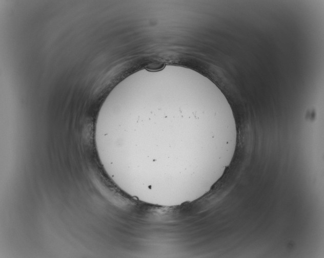 X0000115110092200911171315