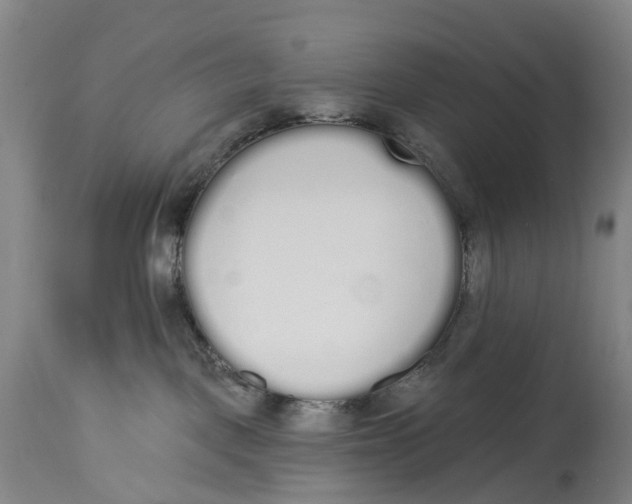 X0000115110093200911171315
