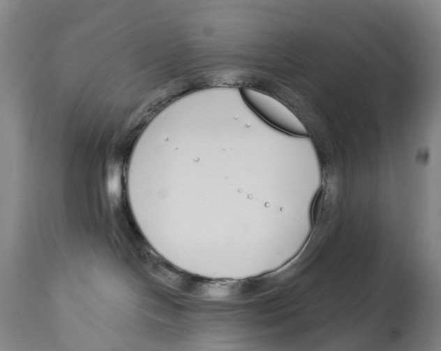 X0000115110094200911171315