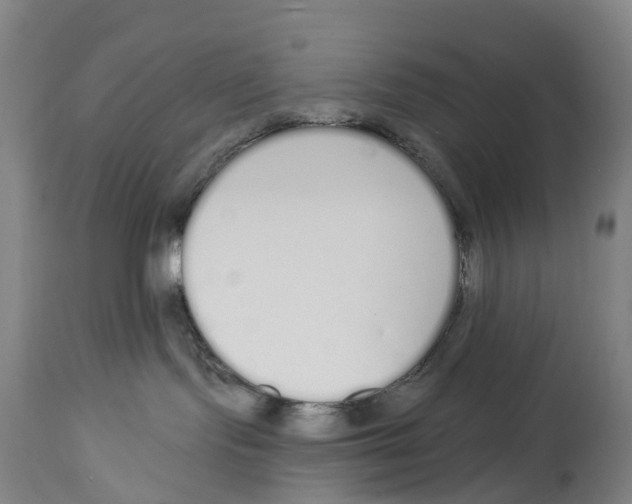 X0000115110095200911171315