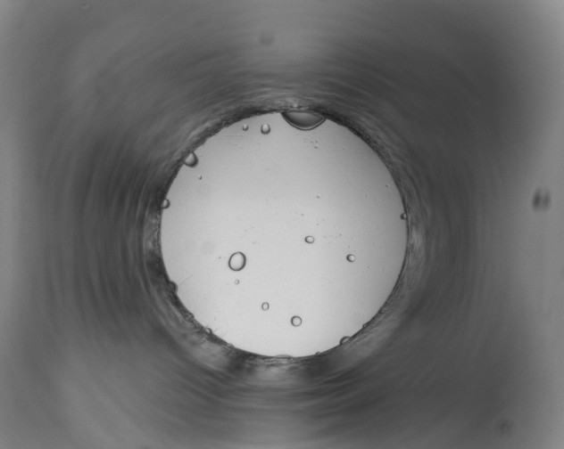 X0000115110096200911171315