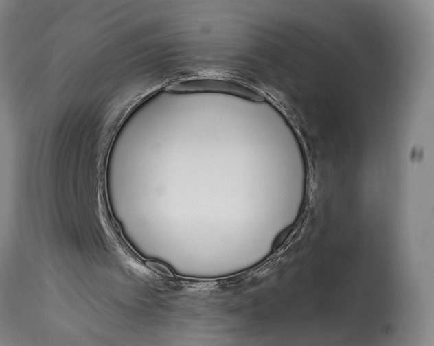 X0000115110097200911171314