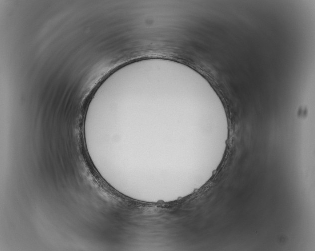 X0000115110098200911171314