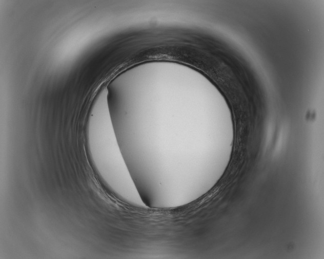 X0000115110099200911171314