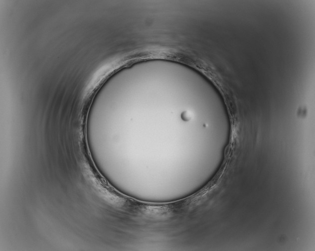 X0000115110101200911171314