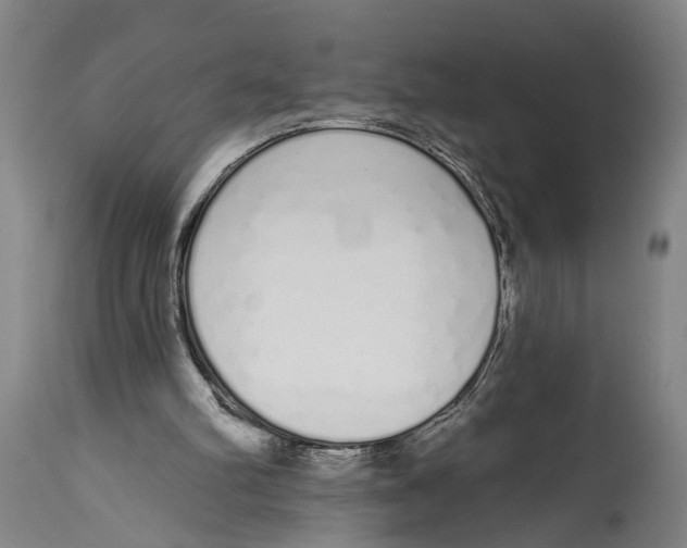 X0000115110102200911171314