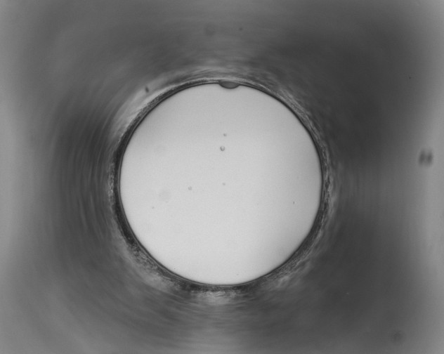 X0000115110103200911171314