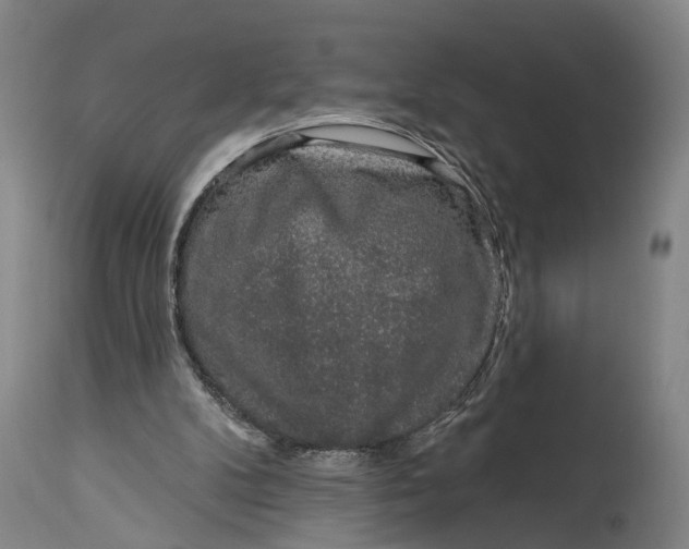 X0000115110104200911171314