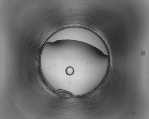 X0000115110105200911171314