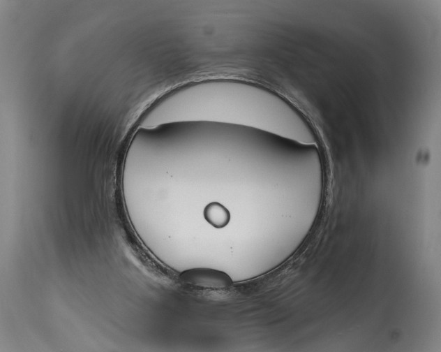 X0000115110107200911171314