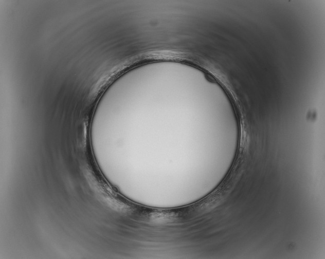X0000115110109200911171314