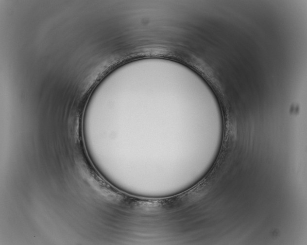 X0000115110110200911171314