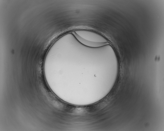 X0000115110111200911171314