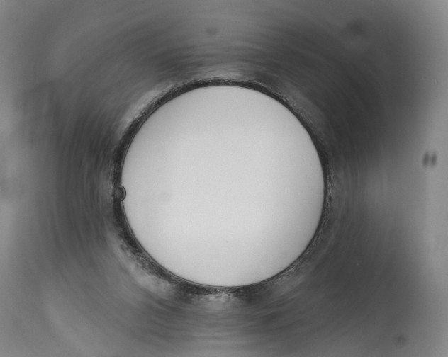 X0000115110112200911171314