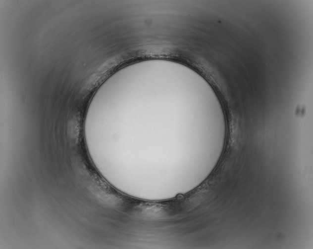 X0000115110113200911171314