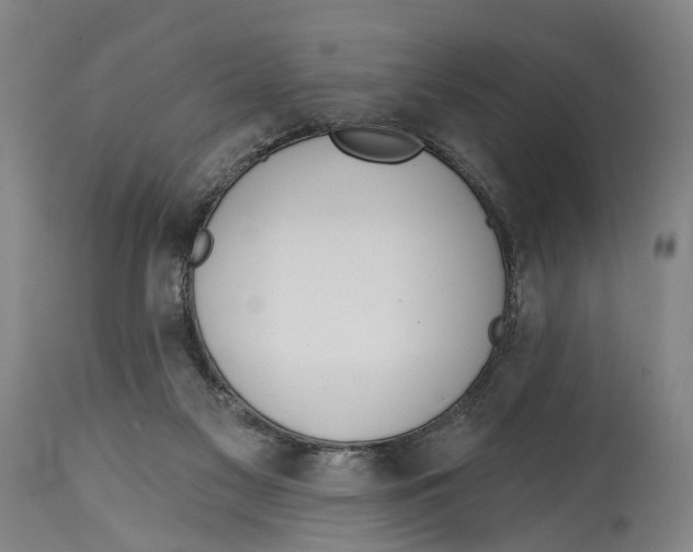 X0000115110117200911171314