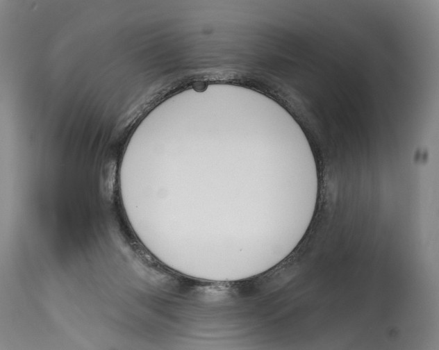 X0000115110118200911171314